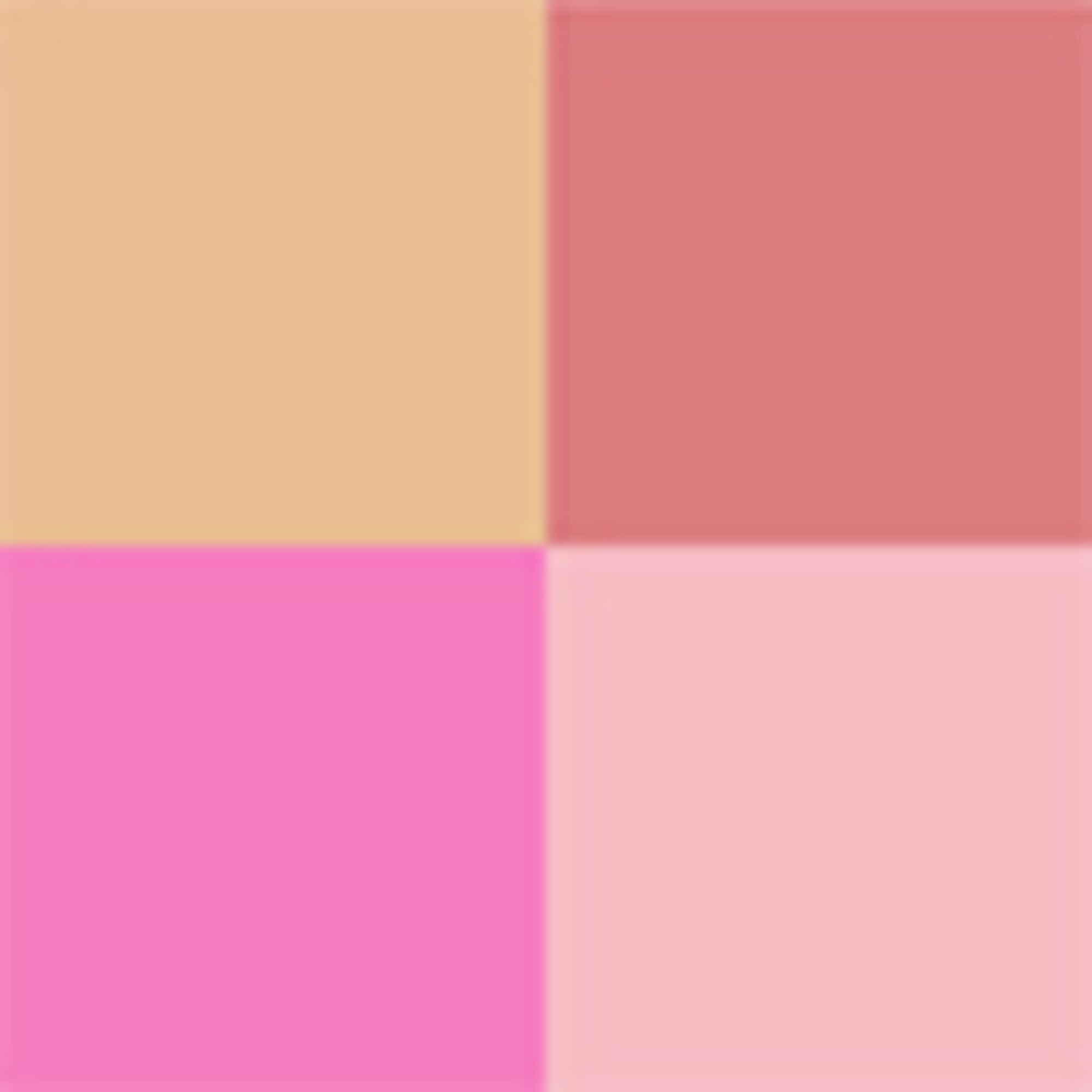 DIOR Backstage Face Palette 008