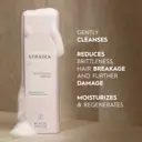 Kerasilk Repairing Shampoo 250ml