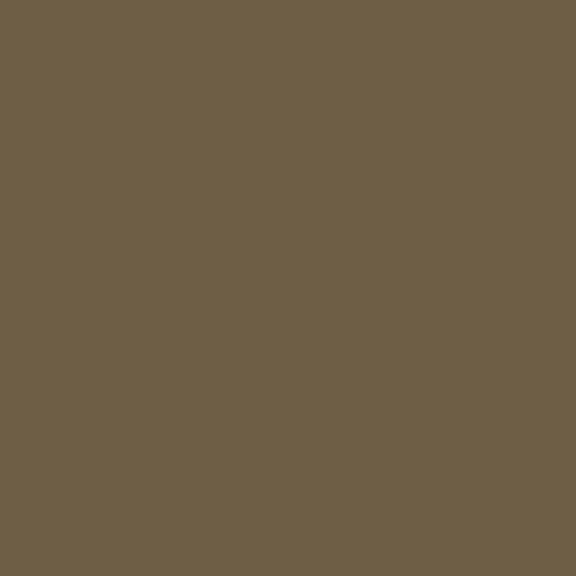 Clarins Wonder Brow Pencil 02 0.06g