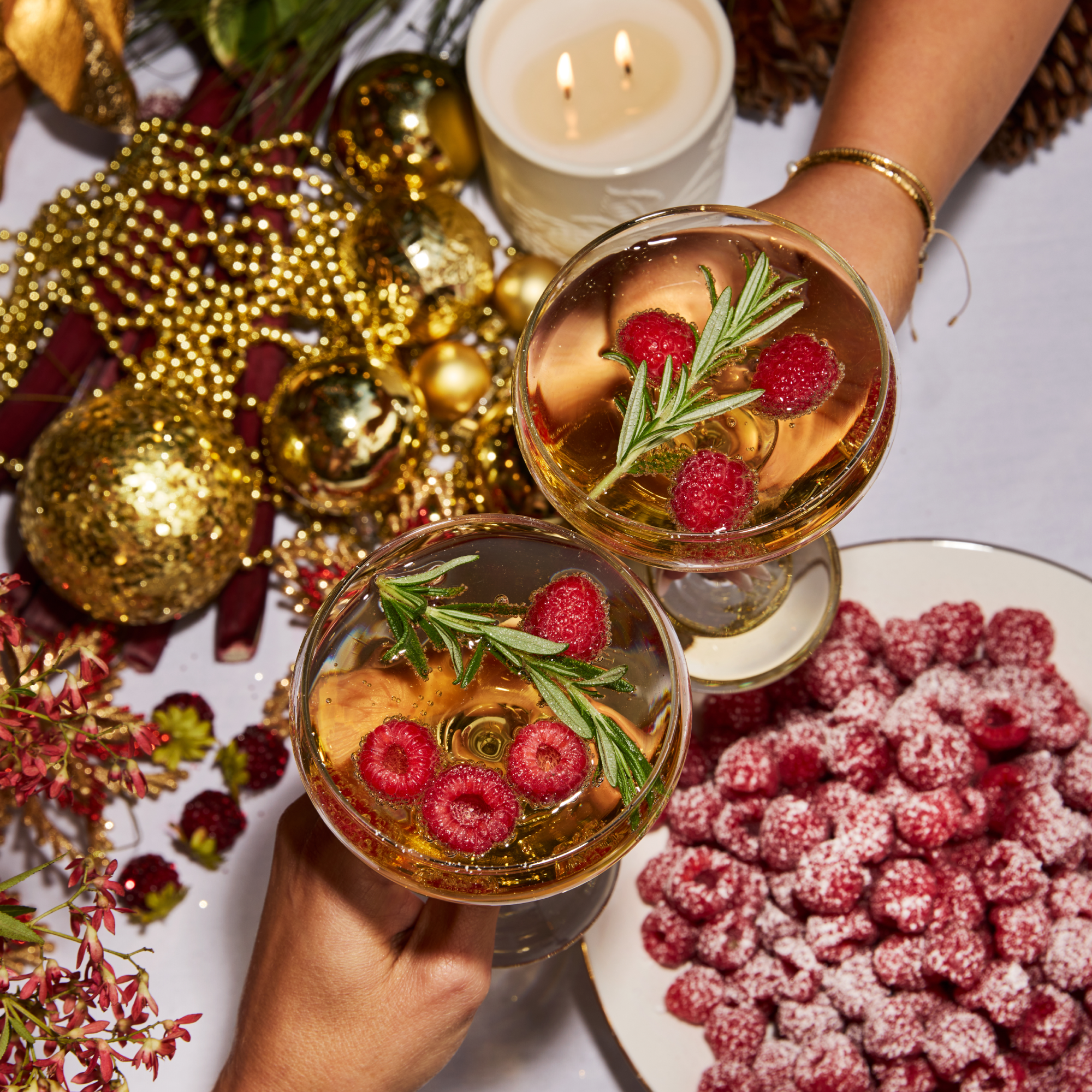 CIRCA Replacement Scent Stems - Christmas - RASPBERRY & RHUBARB - X26