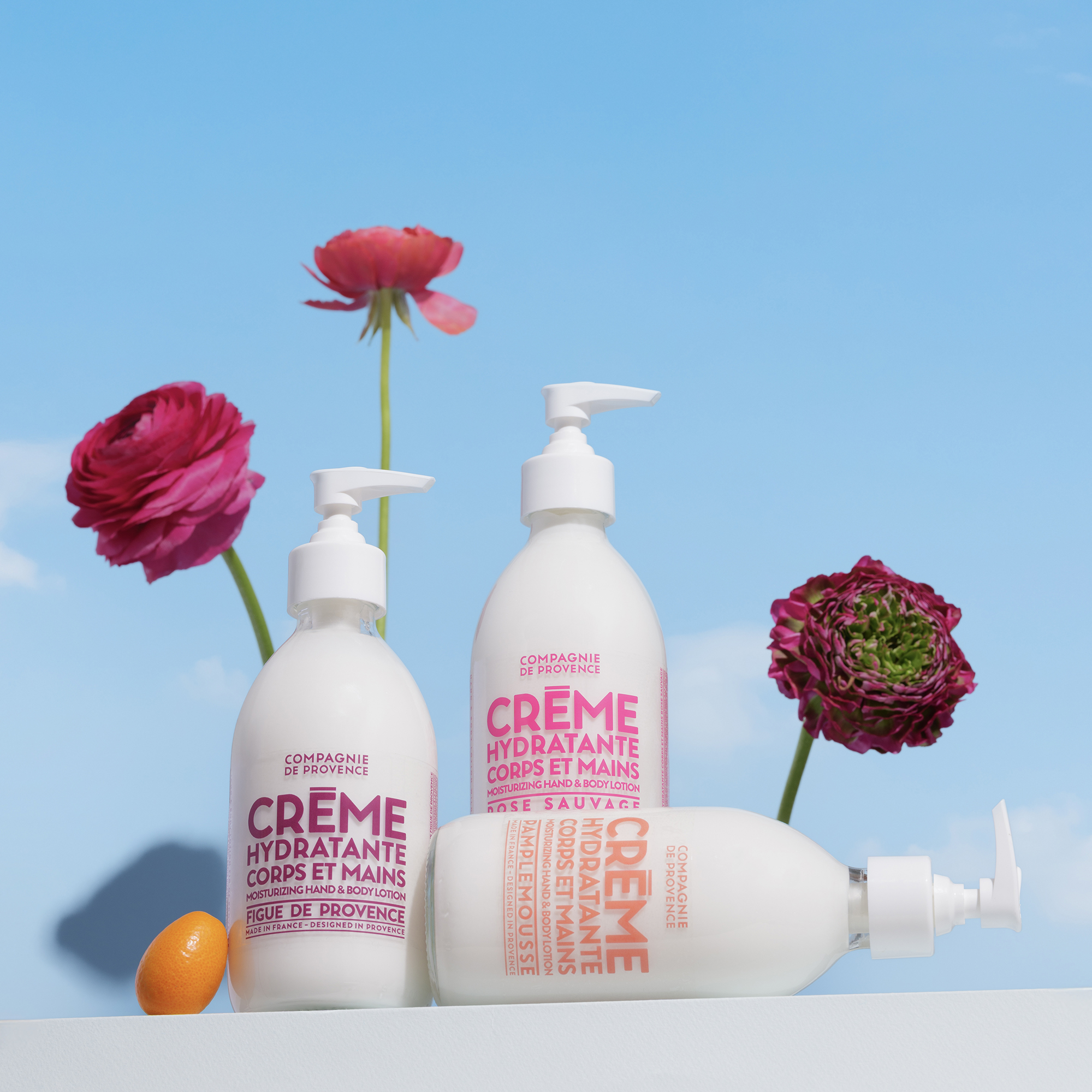 Compagnie de Provence Fig of Provence Hand & Body Cream