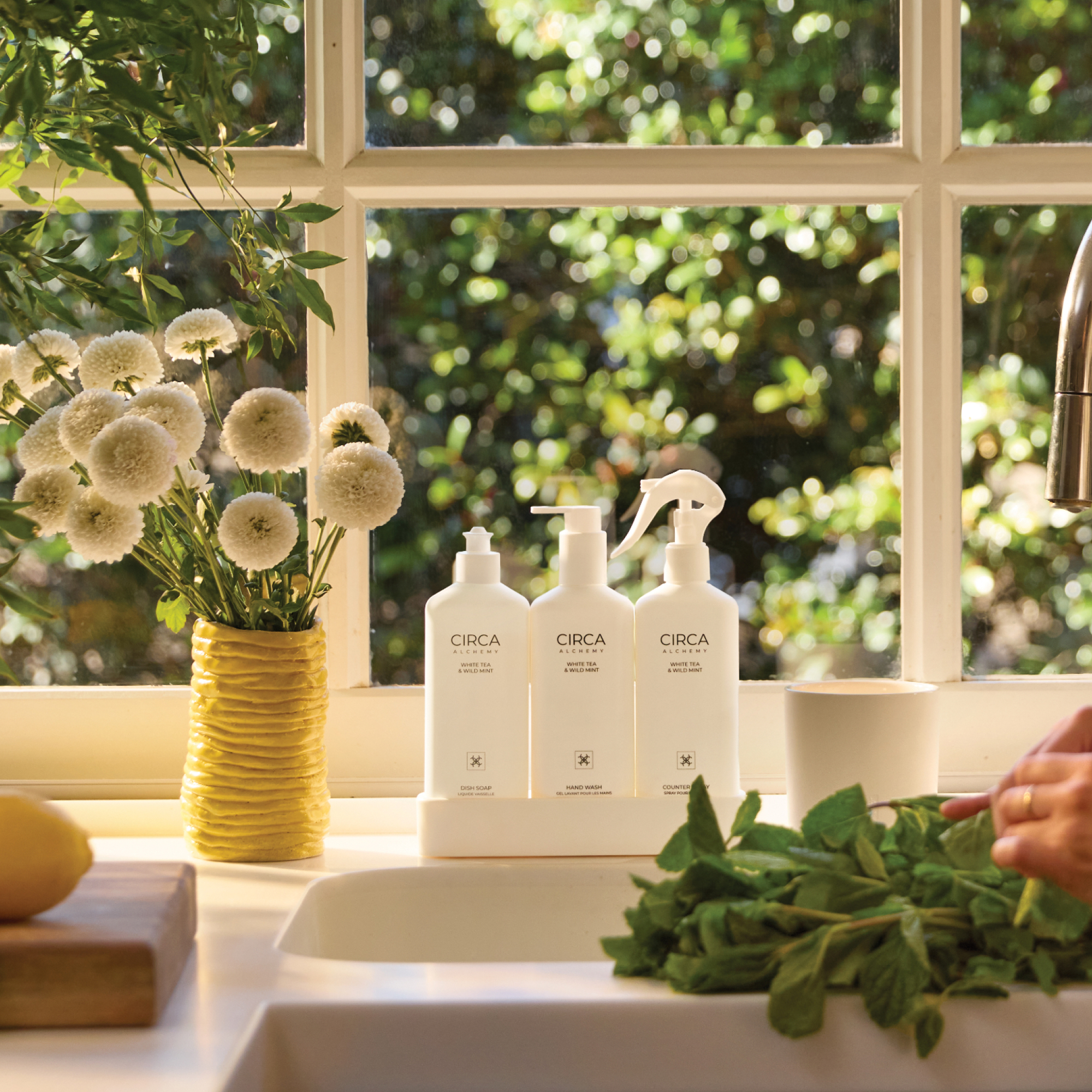 CIRCA 900ml Kitchen Trio Kit (300ml Dish Soap, 300ml Counter Spray, 300ml Hand Wash, Tray) - Alchemy - WHITE TEA & WILD MINT